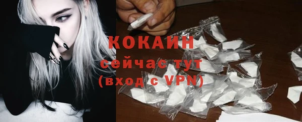 прущие грибы Вязники
