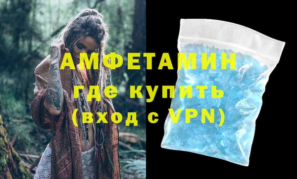 прущие грибы Вязники