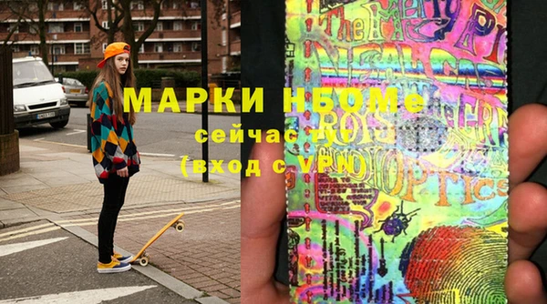 прущие грибы Вязники