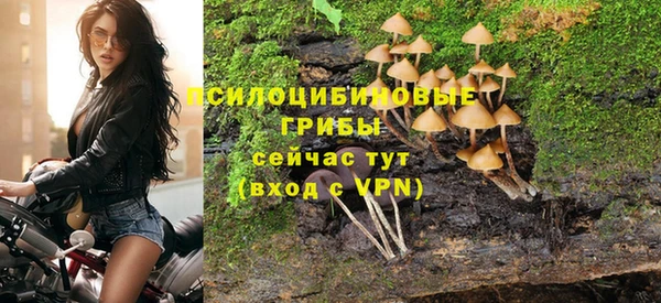 МДПВ Вязьма