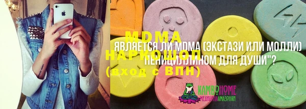 прущие грибы Вязники