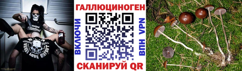 Псилоцибиновые грибы Magic Shrooms Котельники